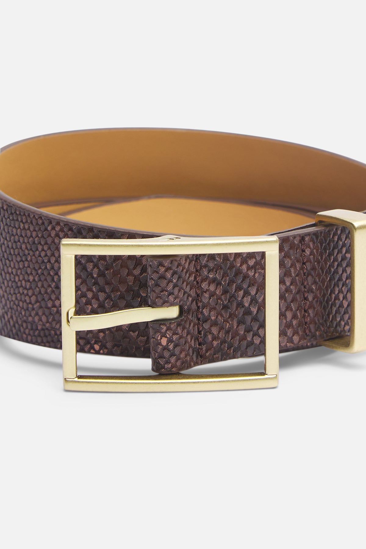 King Snake Brown Belt
