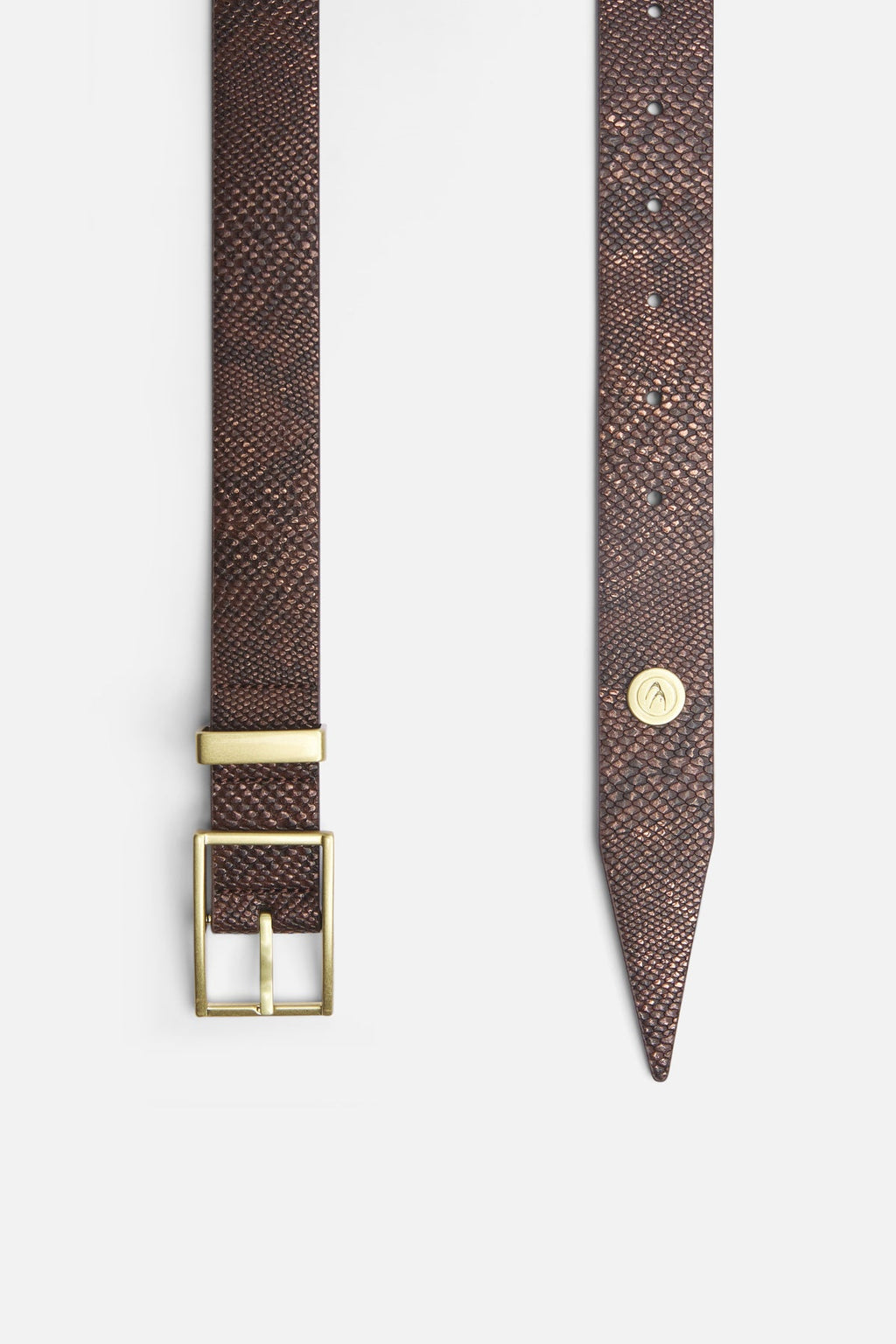 King Snake Brown Belt